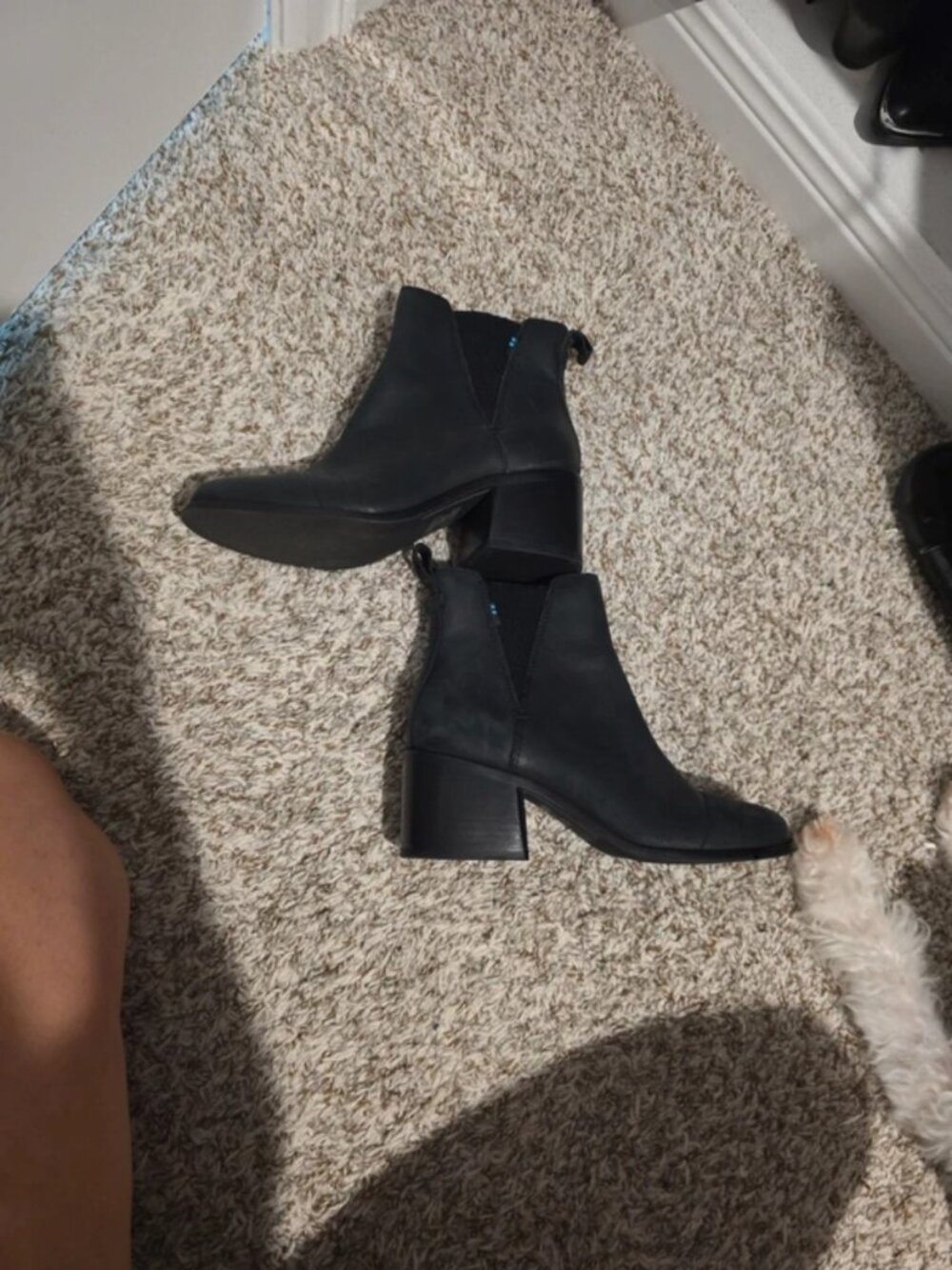 Toms black ankle boots w/ heel